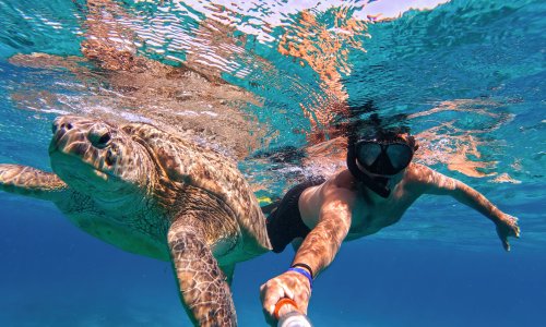 Gili Islands - wyspy Gili, nurkowanie z żółwiami (4).jpg